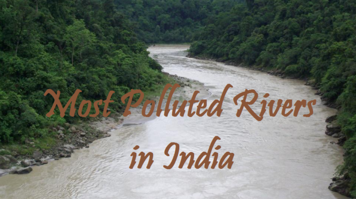 Most polluted rivers in India