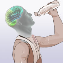 how does dehydration affect the brain and causes depression