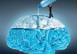 Drinking water and brain